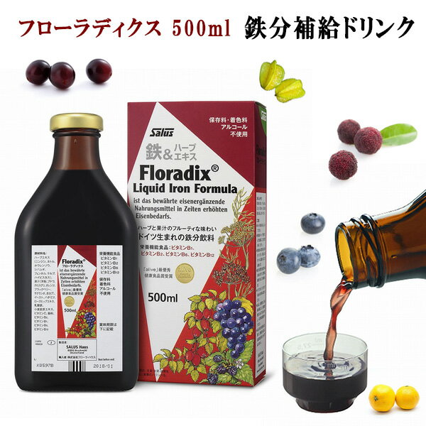 フローラディクス マルチビタミン 250ml ビタミン ハーブエキス