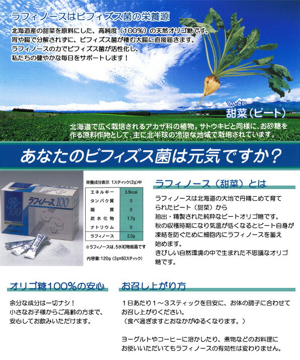 人気no 1 本体 ラフィノース100 内容量 2g 60包 6個セット 純度100 北海道産 天然 ビートオリゴ糖 無添加 甜菜 粉末 国産 日本製 花粉 アレルギーが気になる方に 妊婦 オリゴ糖 赤ちゃん ラフィ Szentendreibaptista Hu