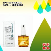 楽天市場 坂本養蜂場 ワックスフリー グリーンプロポリススプレー 原液 30ml 送料無料 プロポリス含有量11 口内 のど飴 原液 キャンディ ブラジル 子供 携帯 のど ミスト のどスプレー 坂本 喉 プロポリススプレー プロポリス スプレー マスクスプレー 健康生活を
