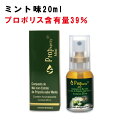 【正規代理店】プロポリススプレー ミント味 20ml ブラジル 子供 のど ミスト のどスプレー のどミスト 喉 ケア 蜂蜜 ミント スプレー 喉スプレー はちみつ ハチミツ 無添加 使用期限：2025.08.31 送料無料