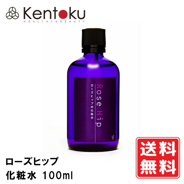 山澤清 ローズヒップ化粧水 100ml オーガニック【透明感 くすみ】お肌にすーっと浸透 さっぱり 重ね付けすることでしっとり もちもち 自然の香りに癒されます ビタミンC豊富 ローズ水 オードリーインターナショナル バラ 【 代金引換不可 送料無料】