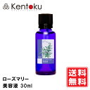 ローズマリー美容液 30ml 山澤清 モア・オーガニック お肌のハリ・ツヤに集中ケア エイジング集中ケア 使用目安:約1ヶ月 / 使用期限:開封後3ヶ月 定形外発送 送料無料
