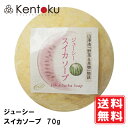 山澤清 スイカソープ 70g 洗顔石けん オーガニック 「野菜と果物」ハーブ研究所 スイカの石けん すいかの石けん 果汁石けん リコピン ビタミンC 日焼け エイジングケア むくみ 肌荒れ シミ 定形外発送 送料無料
