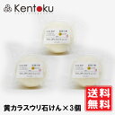 山澤清 黄カラスウリ石けん 70g×3個 オーガニック オードリーインターナショナル 天花粉 石鹸 洗顔せっけん 固形石けん 泡 顔 洗う 肌 潤い 乾燥 対策 化粧品 自然派 美容 コスメ スキンケア シンプル こだわり 素材 しっとり なめらか 無添加 手作り 送料無料