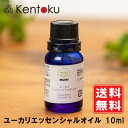 ムクティMukti ユーカリエッセンシャル 10ml インド アーユルヴェーダ ユーカリ油 リラックス効果 気管支ケア 発汗と消臭 追跡メール便..