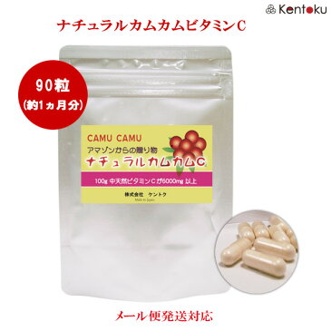 無農薬天然 ナチュラルカムカムC粒 90粒 1粒約298mgの天然ビタミンC 粉末 サプリ 美容 ビタミンc フラボノイド サプリメント|エイジングケア ポリフェノール ビタミン 天然ビタミンc カムカム ビタミン剤 カムカムパウダー アマゾンカムカム