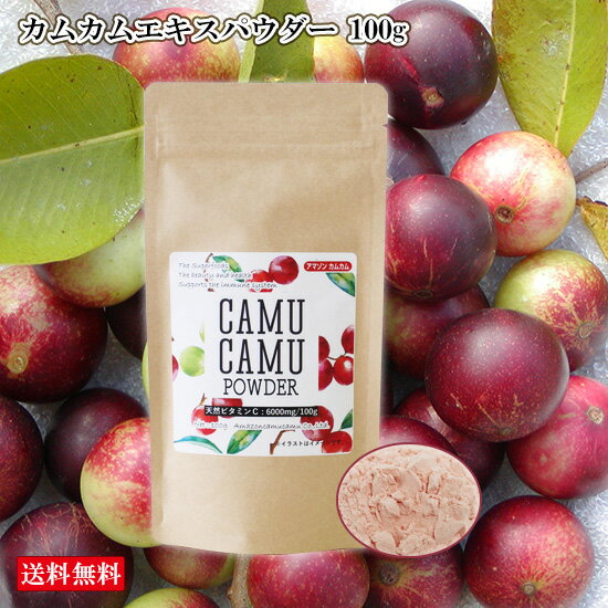 無農薬 カムカムエキスパウダー 100g ビタミンC 100g中6500mg 粉末 アセロラの2倍 ビタミンc フラボノイド カムカムパウダー 送料無料　健康食品 健康ドリンク 美容ドリンク カムカム パウダー カムカムドリンク ポリフェノール 健康飲料 粉末ジュース　賞味期限：2022.02.25