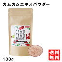 無農薬 カムカムエキスパウダー 100g ビタミンC 100g中6500mg 粉末 アセロラの2倍 ビタミンc フラボノイド カムカムパウダー 天然ビタミンc 健康ドリンク 美容ドリンク カムカム パウダー カムカムドリンク ポリフェノール 賞味期限：2022.12.16 送料無料