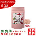 無農薬 カムカムエキスパウダー 100g　化学合成ビタミンCや酸化防止剤は不添加 ポリフェノール サプリビタミンC 100g中6500mg 粉末 アセロラの2倍 ビタミンc フラボノイド カムカムパウダー 天然ビタミンc カムカムドリンク 送料無料 賞味期限：2025.04.09