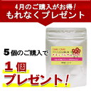 無農薬 ナチュラルカムカムC 90粒【4月限定、5個ご注文で1個プレゼント】※5個ご注文の場合、5個セットのほうがお得※無農薬 天然 1粒約20mgの天然ビタミンC含有 サプリ 美容 ビタミンc フラボノイド エイジング ポリフェノール サプリ 賞味期限：2026.03.31