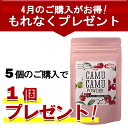 無農薬 カムカムエキスパウダー 100g【4月限定、5個ご注文で1個プレゼント】※5個ご注文の場合、5個セットがお得※ ビタミンC 100g中6500mg 粉末 アセロラの2倍 ビタミンc フラボノイド カムカムパウダー 天然ビタミンc カムカムドリンク 送料無料 賞味期限：2025.04.09