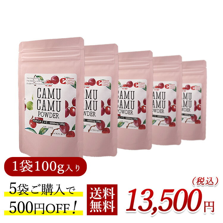 無農薬 カムカムエキスパウダー 100g×5個（500円お得 ）アセロラの2倍 ビタミンc フラボノイド 天然ビタミンc 健康ドリンク 美容ドリンク カムカム パウダー カムカムドリンク ポリフェノール サプリ ビタミンC 粉末 送料無料 賞味期限：2025.04.09