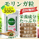 沖縄産100％ 無農薬 琉球新美 モリンガ 300粒 90種類の栄養素＆アミノ酸！ 国産 モリンガ サプリメント モリンガ茶 モリンガパウダー ゆうメール発送 送料無料 母の日 賞味期限：2026.02.01