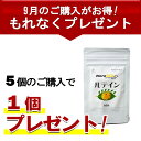 【目のサプリ】ルテイン 100mg×60粒【9月限定、5個ご注文で1個プレゼント】1粒に10mg ルテイン含有 無添加 無農薬 無化学肥料 紫外線 老眼 受験 疲れ 紫外線 PC スマホ パソコン ブルーライト マリーゴールド抽出物 ケミン社 子供