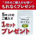 【目のサプリ】ルテイン 60粒×3個セット【9月限定、5セットご注文で1セットプレゼント】1粒に10mg 紫外線 スマホ パソコン ブルーライト 受験生 加齢対策 マリーゴールド抽出物 無添加 子供 無農薬 無化学肥料 ケミン社 小粒:直径0.5cm 送料無料 賞味期限:2028.06.21