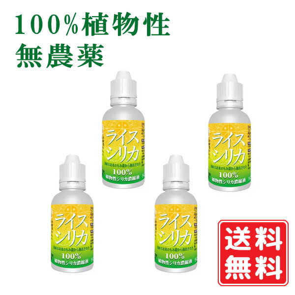 【即納】ライスシリカ 50ml×4本 100％植物性 シリカ濃縮液 1ml中シリカ約19.26mg含有 30滴は約1ml シリカ水 シリカ サプリ ケイ素 飲むシリカ 高濃度 濃縮液 サプリメント 肌 効果 ミネラル コラーゲン 美容 国産 携帯に便利 送料無料 賞味期限：2026.11.30