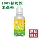 ライスシリカ 50ml 100％ 植物性 無農薬 シリカ濃縮液 1ml中シリカ約19.26mg含有 30滴は約1ml シリカ水 シリカ サプリ ケイ素 飲むシリカ 高濃度 濃縮液 サプリメント 肌 ミネラル コラーゲン 美容 国産 携帯便利 送料無料 定形外発送 賞味期限：2026.11.30