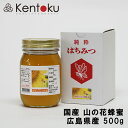 【広島県産】国産山の花蜂蜜 500g 東洋ニッポー ギフト プレゼント お歳暮 プレゼント 東洋ニッポー 出産お祝い 父の日 母の日 はちみつ はちみつの恵 非加熱 国産純粋 無添加