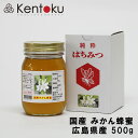 【広島県産】国産みかん蜂蜜 500g お歳暮 プレゼント 東洋ニッポー 出産お祝い 父の日 母の日 はちみつ はちみつの恵 非加熱 国産純粋 無添加 こだわりの天然100％純粋生のはちみつ！一切加工する事 自然のままの花の香りと味をお届け パンケーキ トースト ヨーグルトに