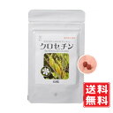 【目のサプリ】クロセチン 100mg×60粒 目のサプリ貴重な素材でクッキリ ハッキリ 紫外線 スマホ パソコン ブルーライト受験生 無添加 子供 無農薬 ルテイン と相性抜群 2粒でクロセチン15mg含有 安眠 ぐっすり 送料無料 賞味期限：2026.09.12