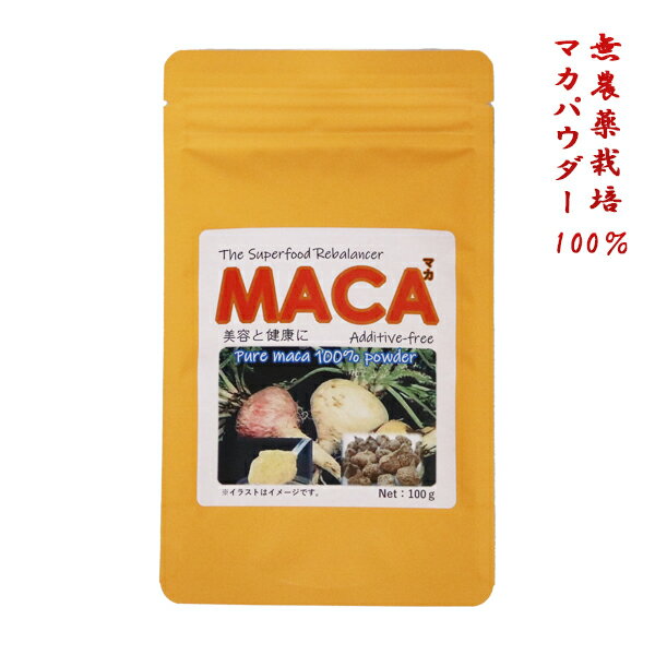 無農薬無添加 純正100% マカパウダー 100g 粉末 子宝サプリメント 妊活 パワー 夫婦円満 女性ホルモン 元気 お父さん 父の日プレゼント 自信 活力作り ペルーの秘宝 必須アミノ酸 アルギニン ビタミンB群 アルカロイド 女性 ゆうメール発送 送料無料 賞味期限：2024.10.20