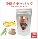 沖縄クチャパック 100g タイリン月桃エキス配合 パウダー ミネラル成分豊富 軽い さっぱり 洗髪 洗顔 フェイスパック とっても細かい粘土質の土 強い吸着力で皮膚や毛穴のよごれをきれいに取り除く 背中 マリンシルト 海泥 月桃エキス配合 デコルテ 送料無料