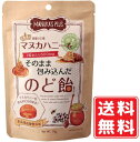 マヌカハニーをそのまま包み込んだのど飴 73g 約15粒 マヌカの花 蜂蜜 はちみつ 食品添加物無添加 無香料 無着色 糖質 ビタミン アミノ酸 クエン酸 ポリフェノール カリウム カルシウム マグネシウム 鉄分 亜鉛 たんぱく質 脂質 炭水化物 蜂蜜 夏バテ 運動 スポーツ