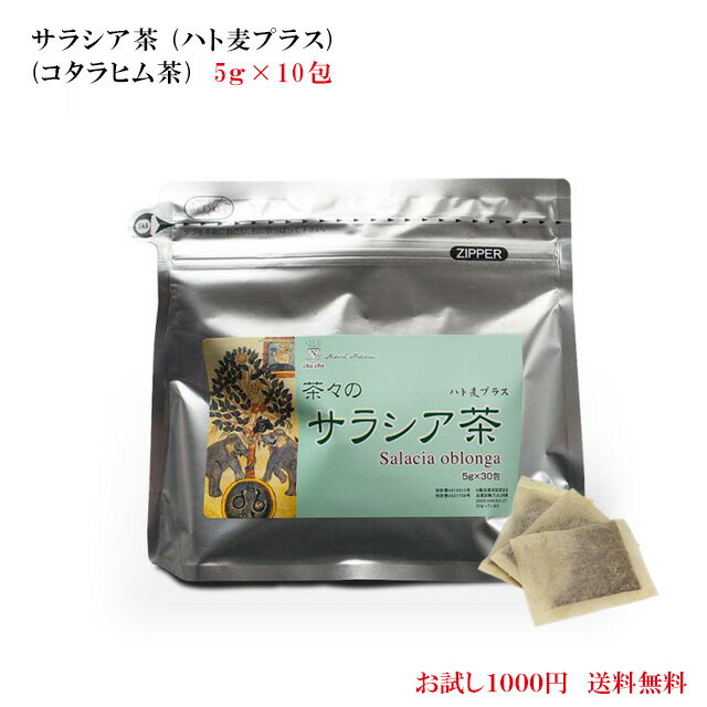 【初回限定1000円ぽっきり】サラシア茶(ハト麦プラス)コタラヒム茶【5gtimes;10包】サラシア力エキスサプリ食前茶善玉菌ビフィズス菌サラシノールダイエット茶脂肪、糖分、血糖値が気になる方に送料無料賞味期限:2020.11.15お試しセット