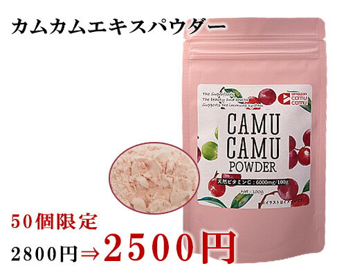 無農薬 カムカムエキスパウダー 100g