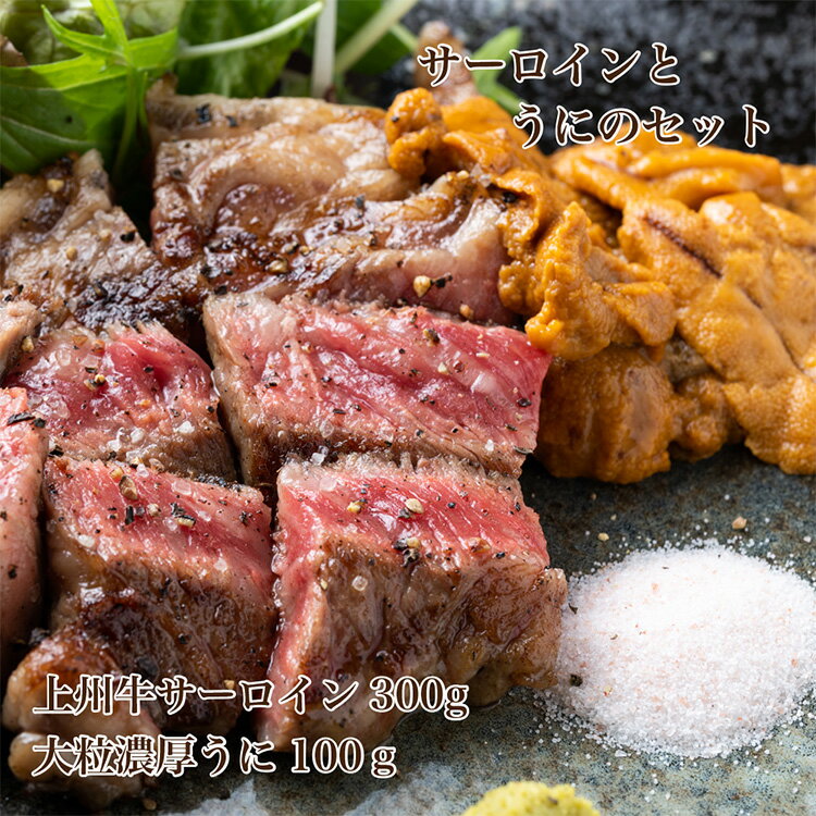 楽天ハンバーグ・熟成肉専門店うに送料無料/熟成上州牛サーロイン300gと大粒濃厚うに100gのセット ウニ お肉 肉 にく ステーキ 和牛 牛肉 国産牛 熟成 熟成肉 熟成牛 海鮮 生雲丹 生うに 美味しい お取り寄せ お取り寄せグルメ お祝い 食べ物 内祝い ギフト プレゼント 国産 グルメ バレンタイン 彼氏 喜ぶ