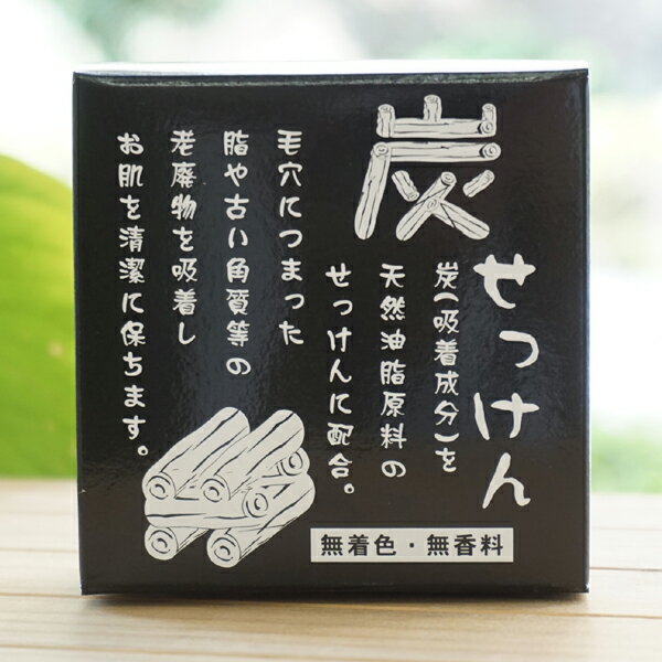 炭せっけん/100g【地の塩社】