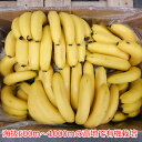 フィリピン産 オーガニックバナナ/1箱 11kg(目安60本以上)【メーカー直送】(4)