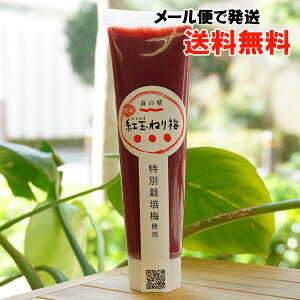 国産 紅玉ねり梅(チューブ) /100g【海の精】【メール便の場合、送料無料】