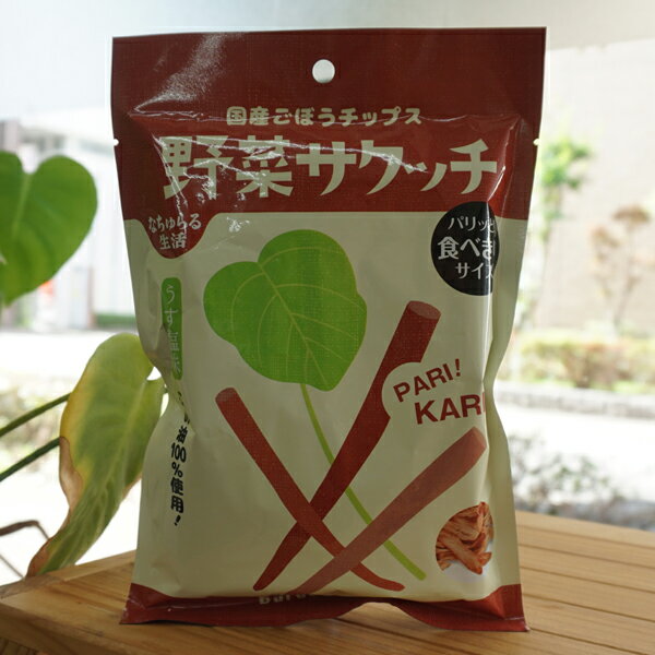 なちゅらる生活 野菜サクッチ 国産ごぼうチップス(うす塩味)/19g【イー有機生活】