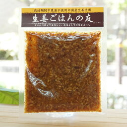 生姜ごはんの友/80g【マルアイ食品】