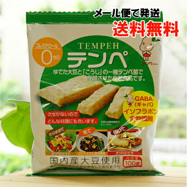 国内産大豆使用 テンペ/100g【マルシン食品】【メール便の場合、送料無料】　ゆでた大豆と麹の一種テンペ菌で発酵させた自然食品　国内産大豆使用