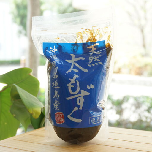 沖縄県石垣島産 天然 太もずく(塩蔵)/500g【沖縄海星物産】 沖縄県石垣島産 天然 太もずく(塩蔵)/500g【沖縄海星物産】