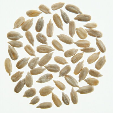 有機ひまわりの種(生)/25kg【アリサン】 Organic Sunflower Seeds