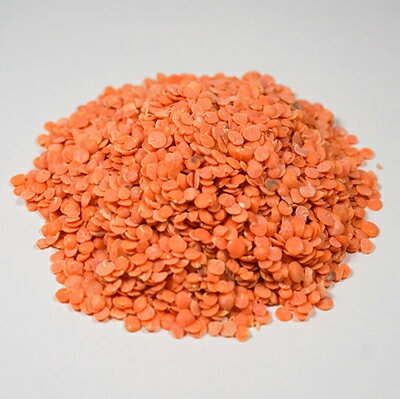 有機赤レンズ豆/11.33kg【アリサン】 Organic Red Lentils 有機赤レンズ豆/11.33kg【アリサン】 Organic Red Lentils