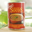 Amys L@CfBA_ eB X[v/411gyATz ORGANIC SOUPS Curried Lentil