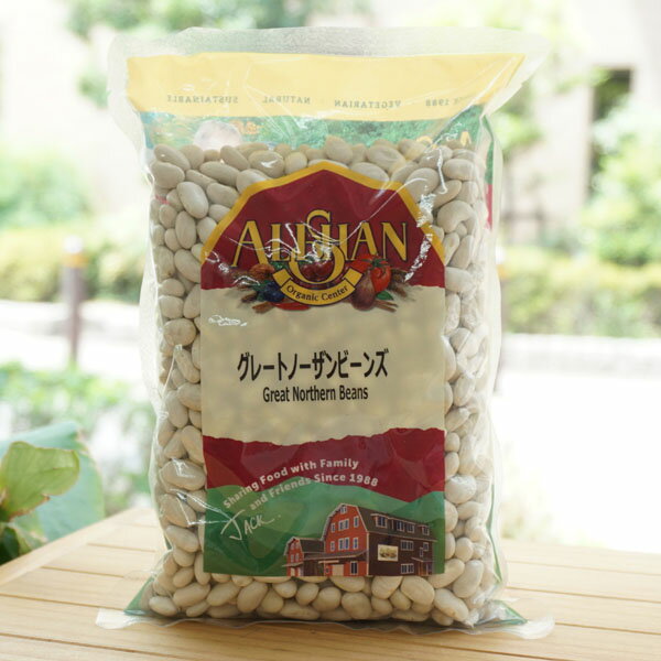 グレートノーザンビーンズ(インゲン豆の仲間)/500g【アリサン】 Great Northern Beans