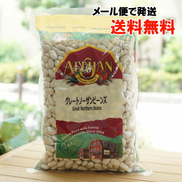 グレートノーザンビーンズ(インゲン豆の仲間)/500g【アリサン】【メール便の場合、送料無料】 Great Northern Beans