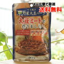 野菜大豆バーグ(てり焼き)/1人前【三育フーズ】 大豆ミートで作りました【メール便の場合、送料無料】