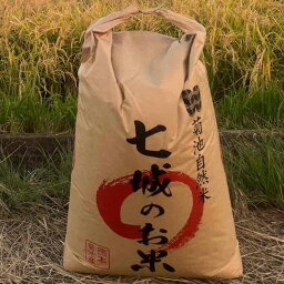 無肥料無農薬・有機JAS「大自然のめぐみ」ヒノヒカリ玄米/30kg【代引き不可】【直送】　令和5年度産