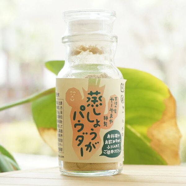 特製 蒸ししょうがパウダー/20g【百姓の家やーやまや】
