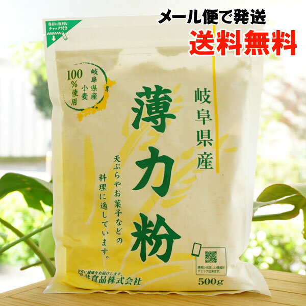 岐阜県産 薄力粉/500g【桜井食品】【メール便の場合、送料無料】