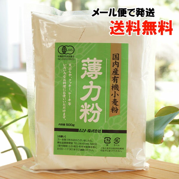 国内産有機小麦粉 薄力粉/500g【ムソー】【メール便の場合、送料無料】