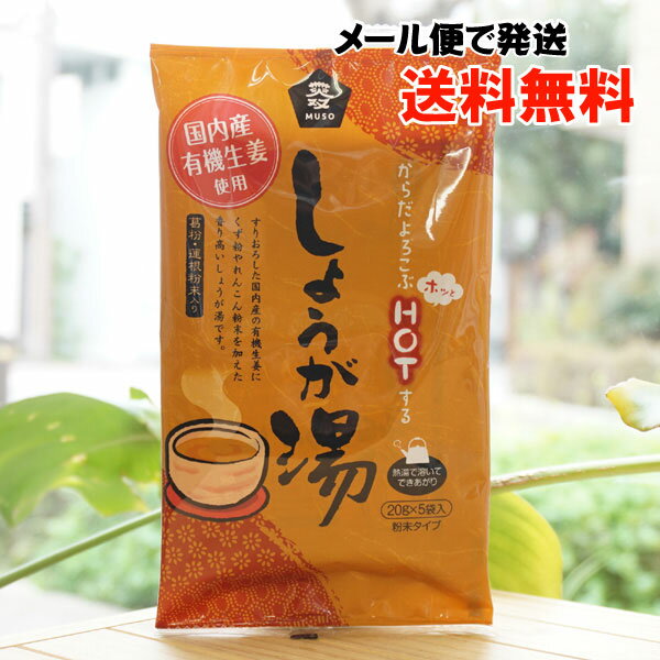 からだよろこぶHOT(ホッと)する しょうが湯(粉末タイプ)/20g×5袋【ムソー】【メール便の場合、送料無料】