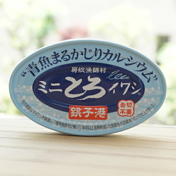 房総漁師村 ミニとろイワシ(味付) 銚子港/100g【千葉産直】