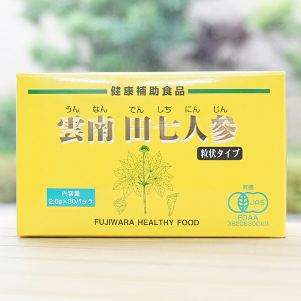 健康補助食品 雲南 田七人参(粒状タイプ)/2g×30【フジワラ化学】